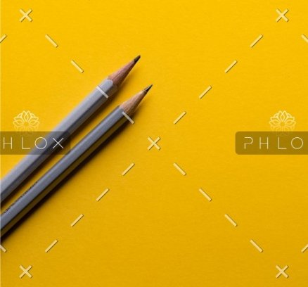 demo-attachment-554-joanna-kosinska-1_CMoFsPfso-unsplash@2x