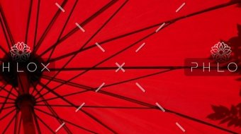 demo-attachment-1549-loic-furhoff-YERwza88a0o-unsplash@2x