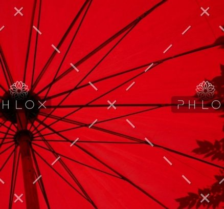 demo-attachment-1549-loic-furhoff-YERwza88a0o-unsplash@2x